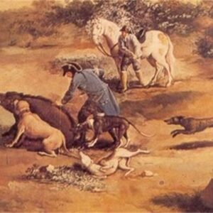 Historia del alano español