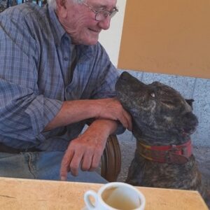 criadero alano español