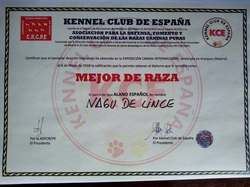 criadero de alano español