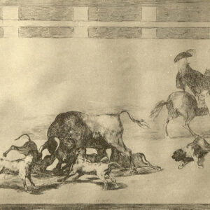 Historia del alano español