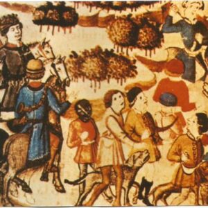 historia-alano-espanol