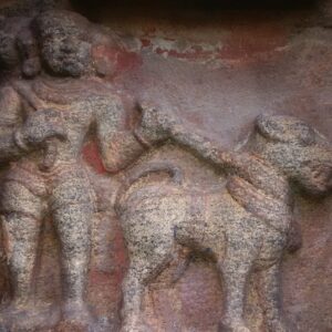 Historia del alano español